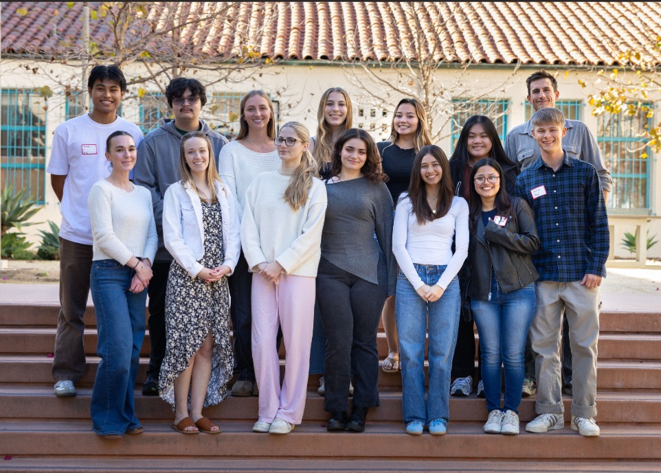 lavin interns